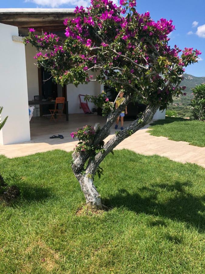 Villa Alba Esclusiva Villa Con Piscina A Sfioro E Vista Mozzafiato Sul Mare Cugnana Luaran gambar